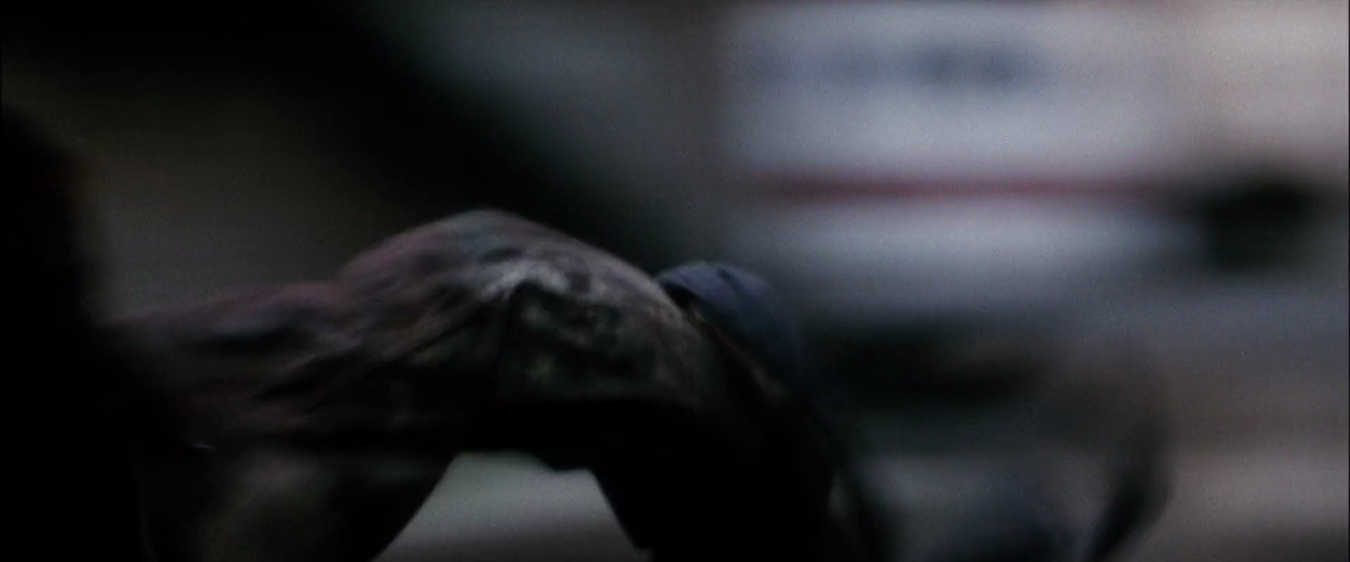 Shot 1115