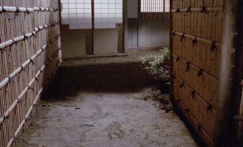 Shot 218