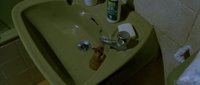 Shot 31