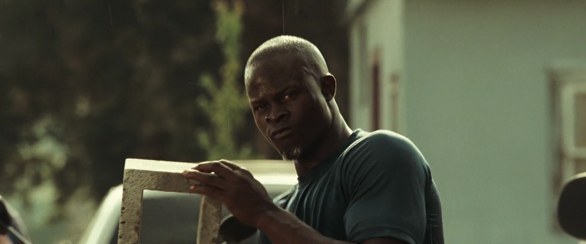 Shot 1386