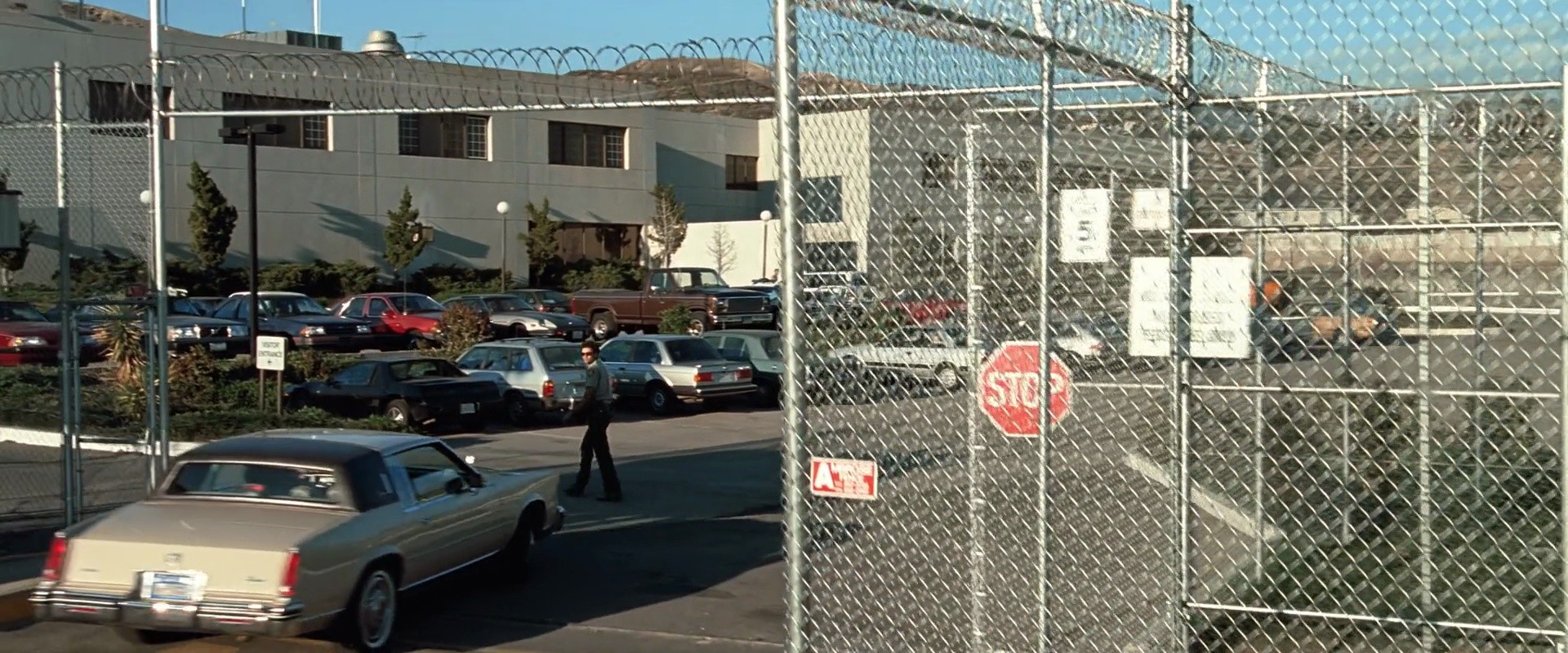 Shot 229