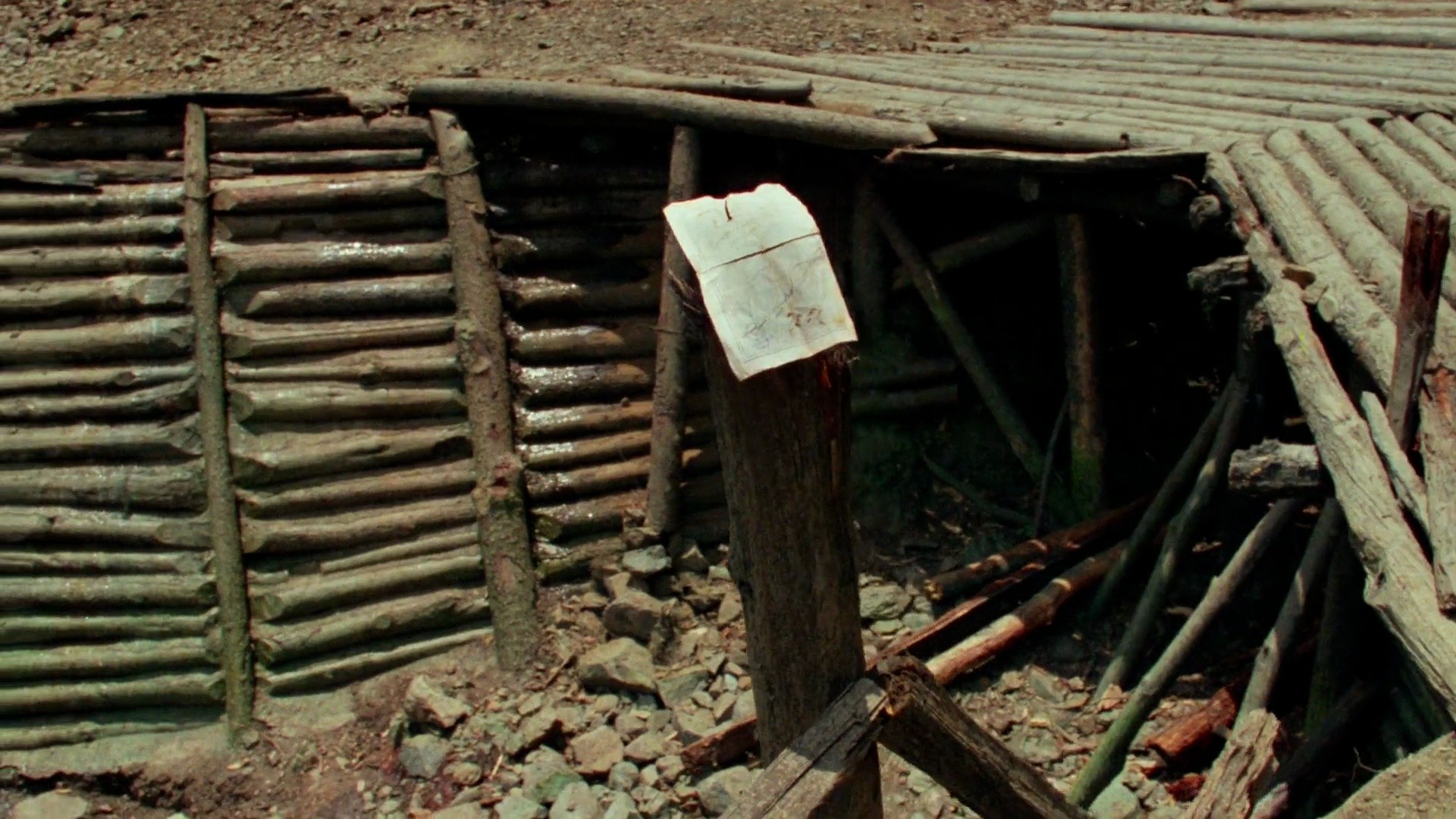 Shot 916