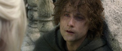 Shot 2818