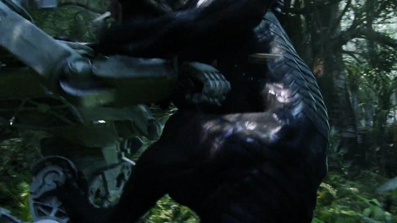 Shot 2630