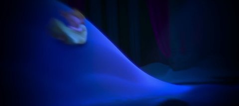 Shot 732