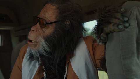 Shot 867