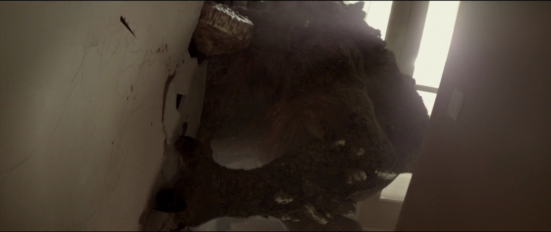 Shot 1407