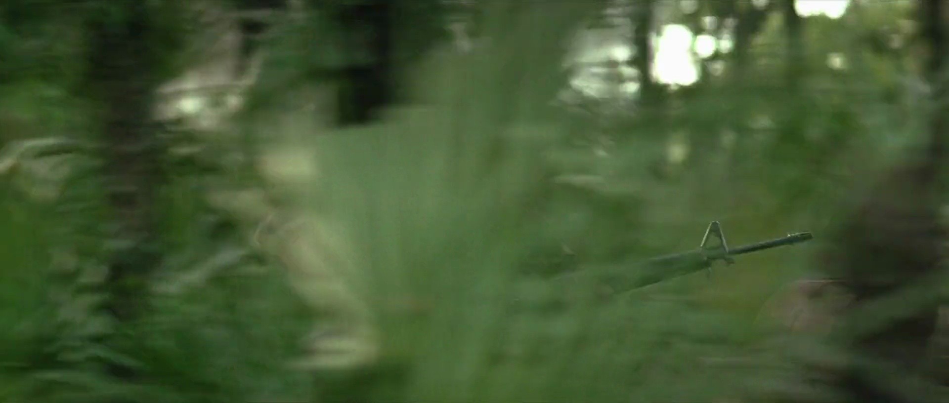 Shot 445