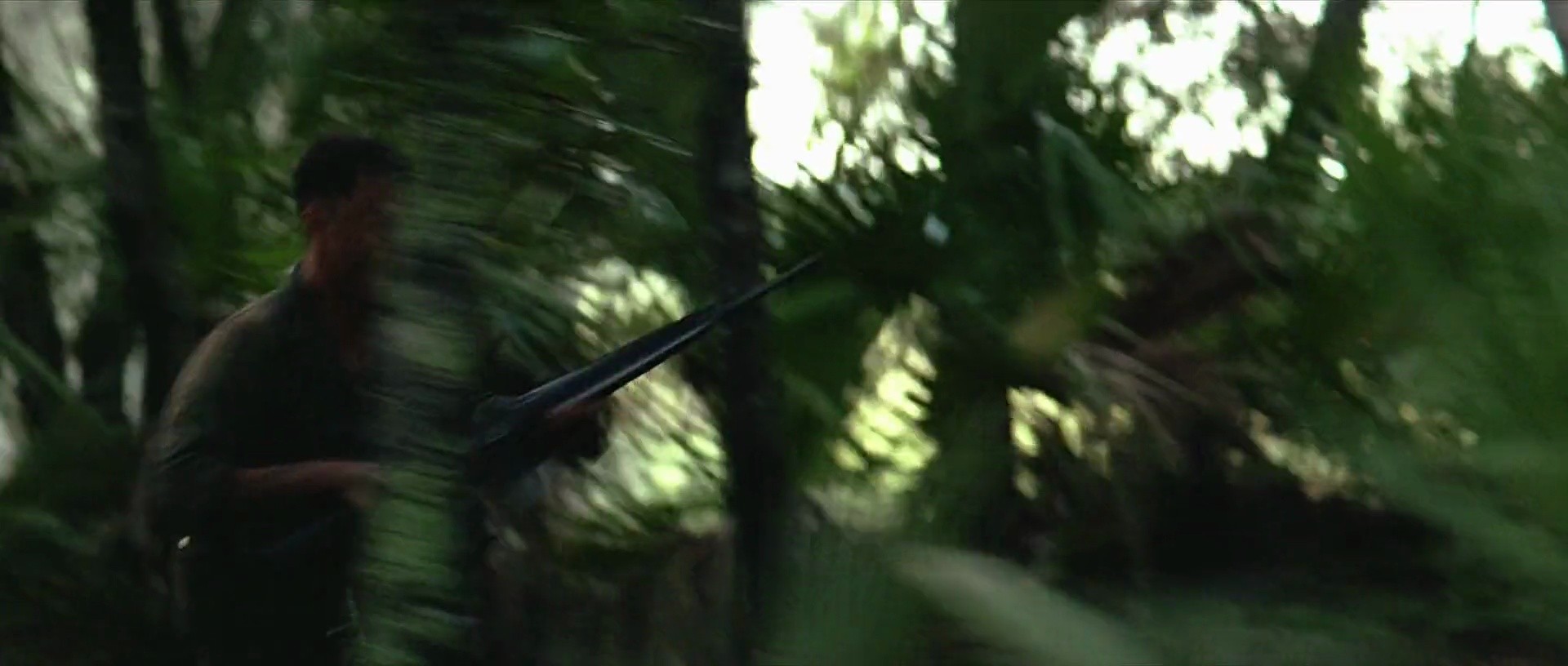 Shot 441