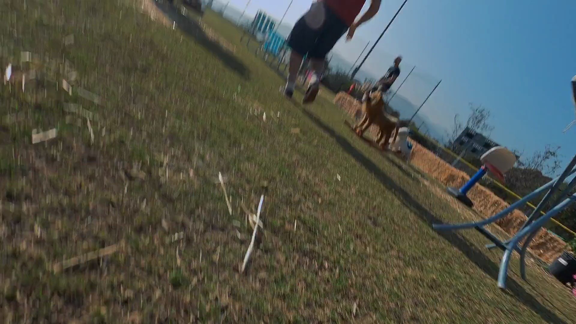 Shot 879