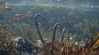Shot 13