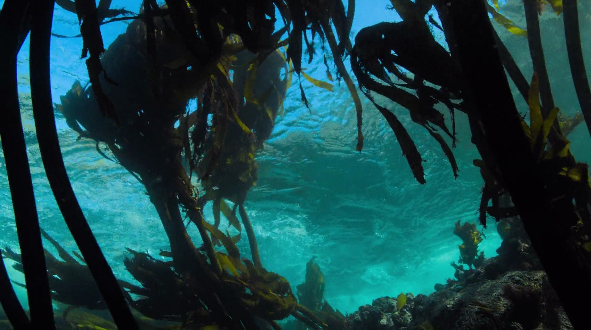 Shot 143