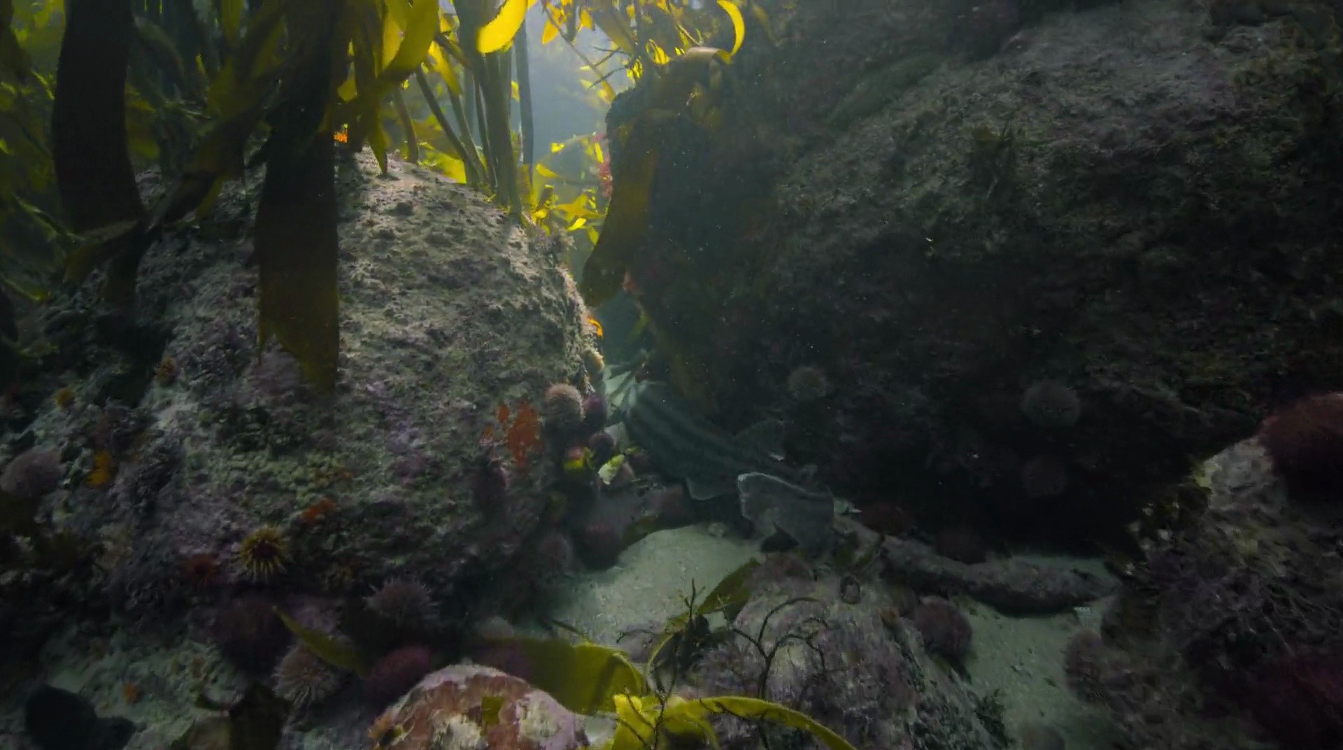 Shot 883