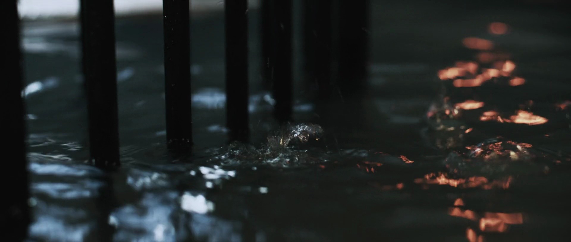 Shot 947