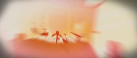 Shot 37