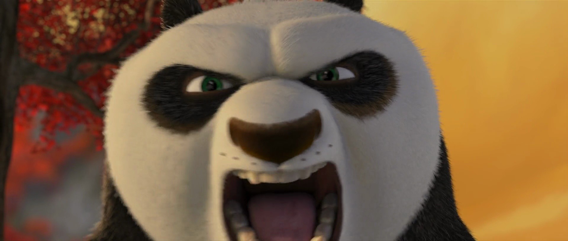 Shot 951