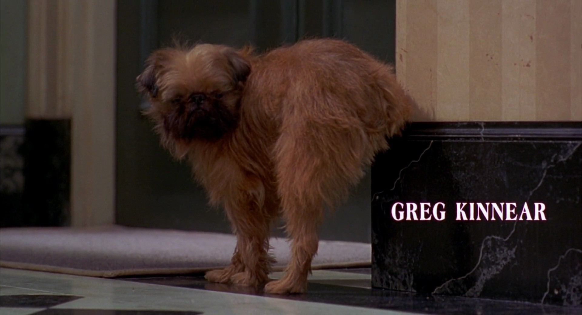 Shot 12