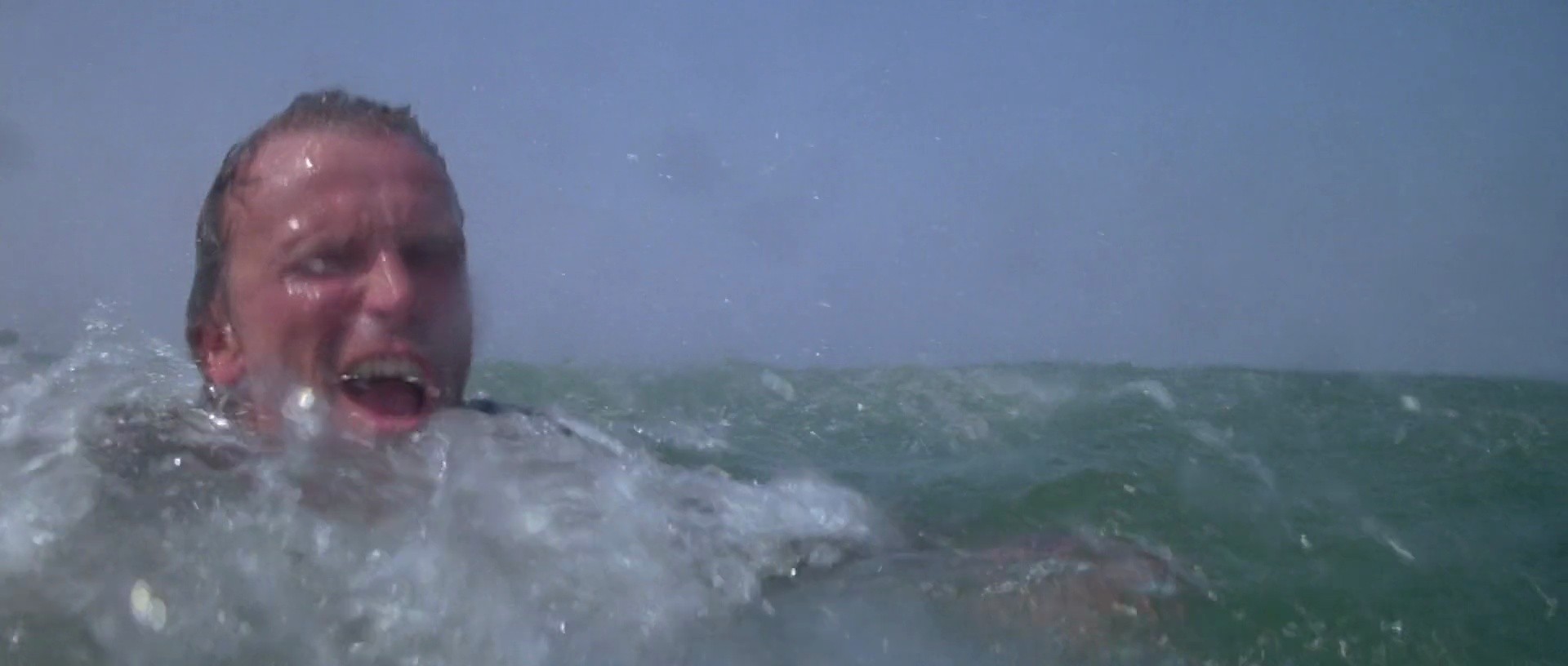 Shot 1600