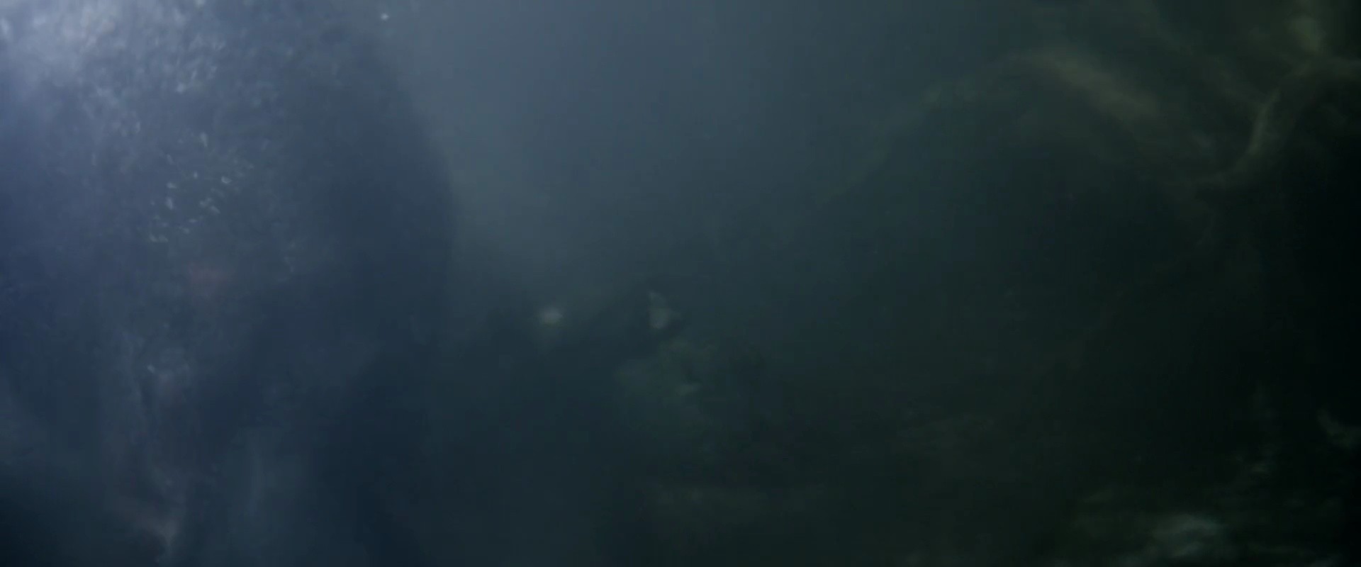 Shot 1114