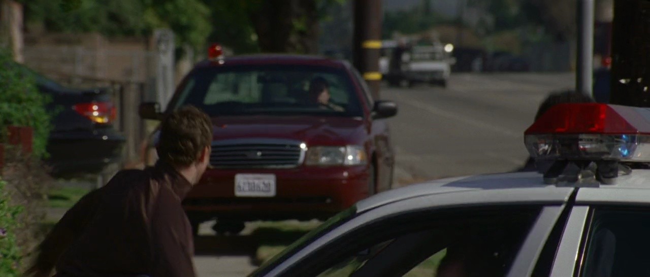 Shot 1229