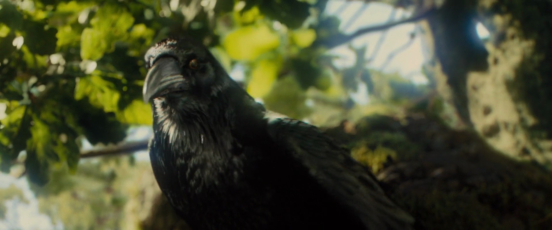Shot 692