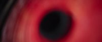 Shot 9