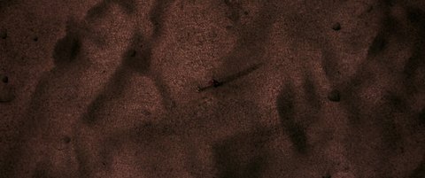 Shot 1893