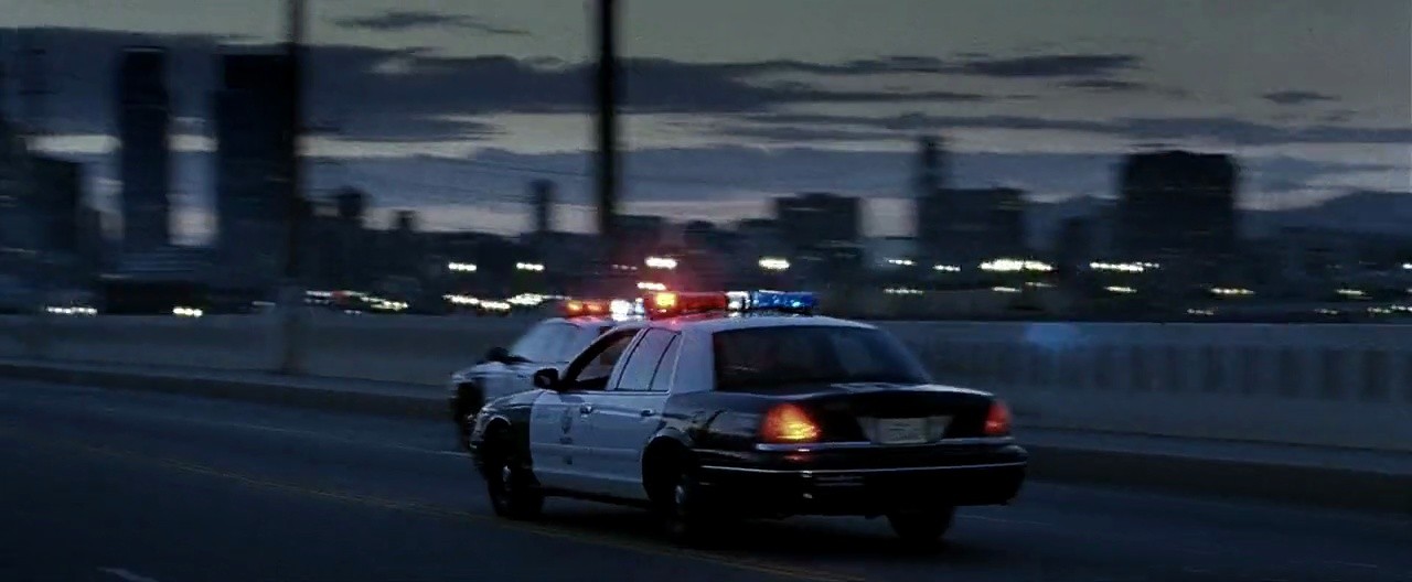 Shot 503