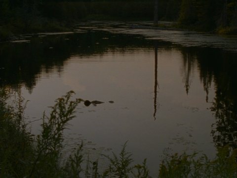 Shot 6