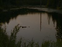 Shot 6