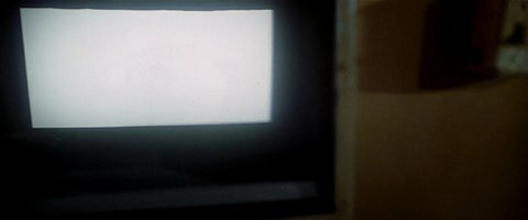 Shot 1983