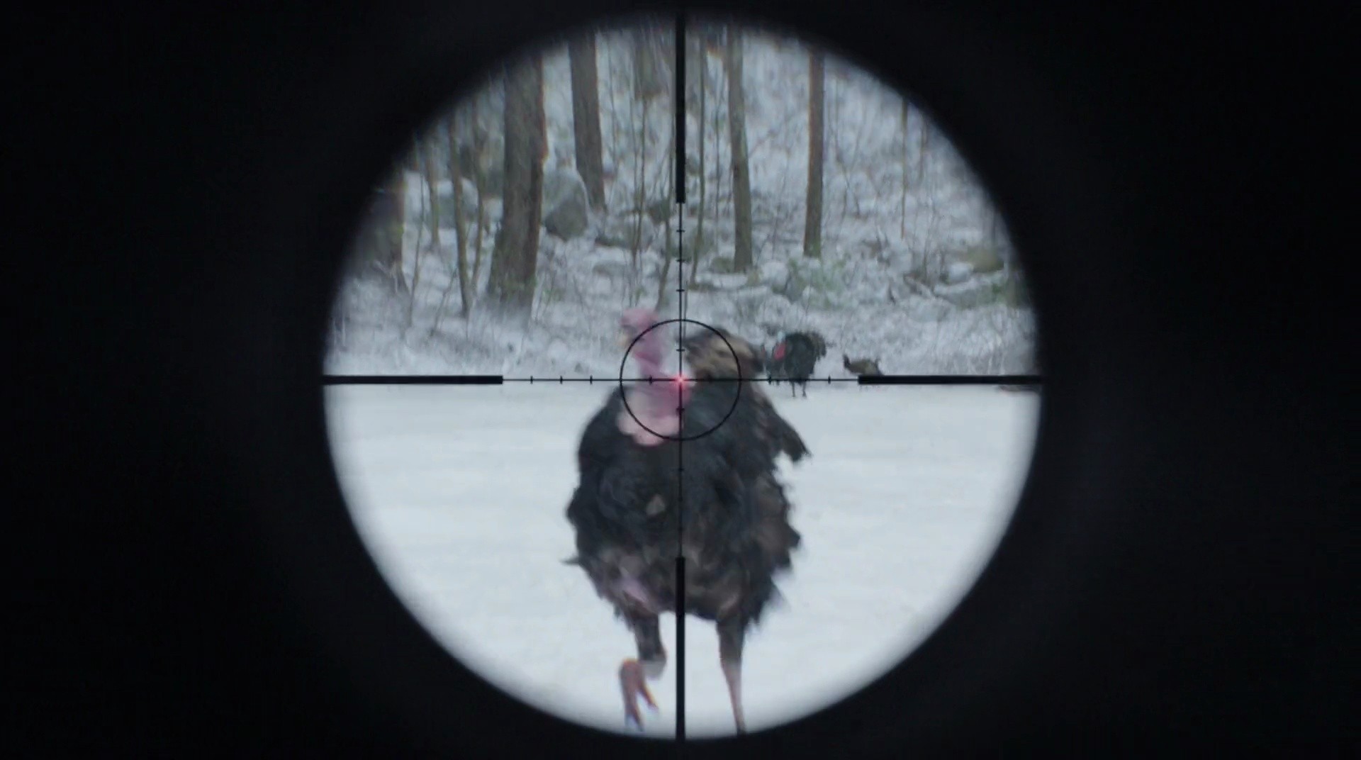 Shot 1342