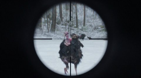 Shot 1342