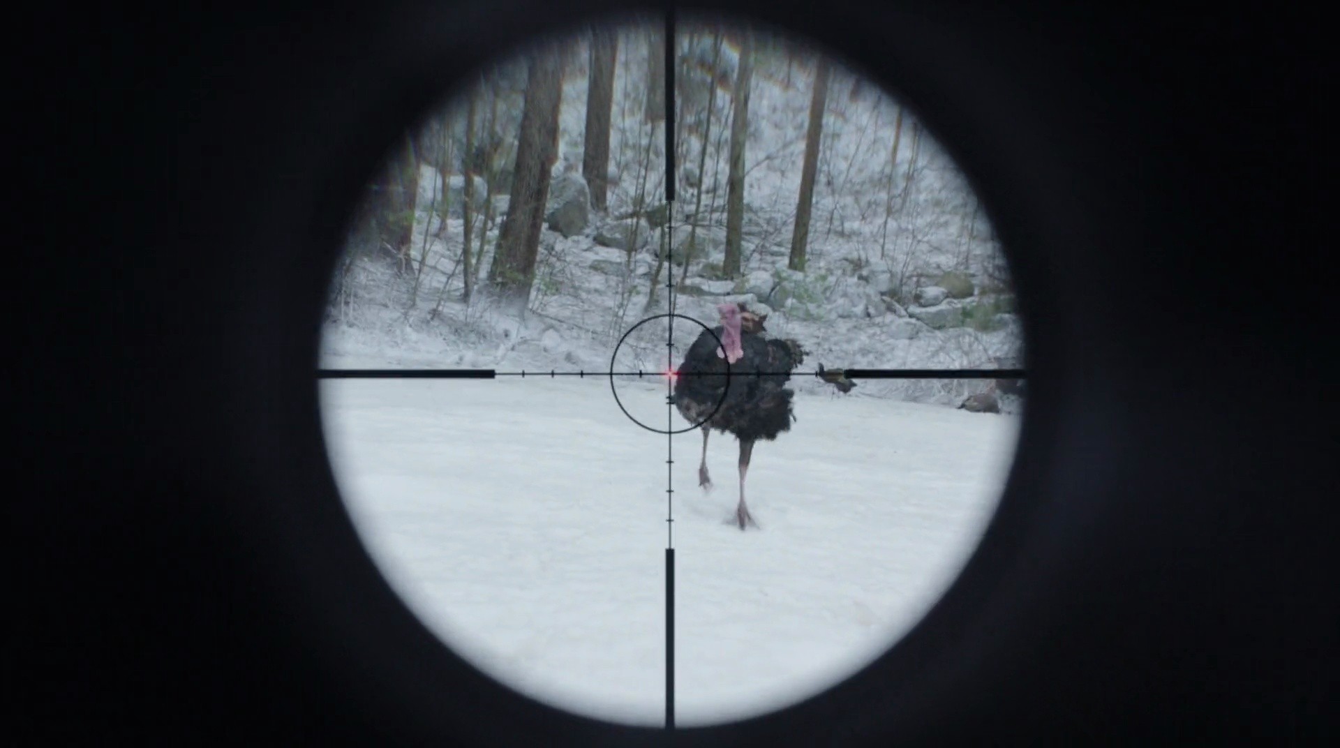 Shot 1338