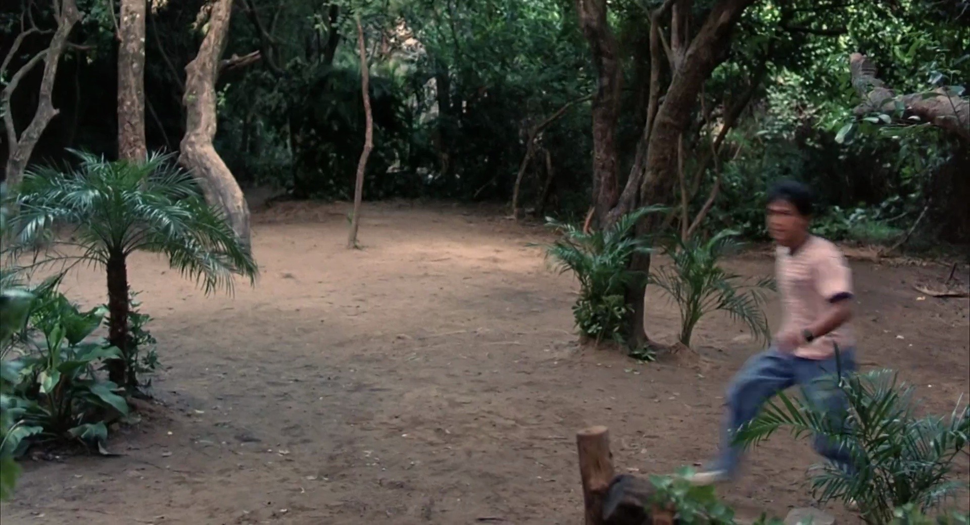 Shot 1201
