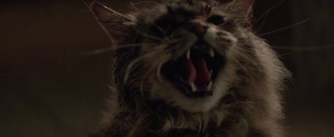Shot 501