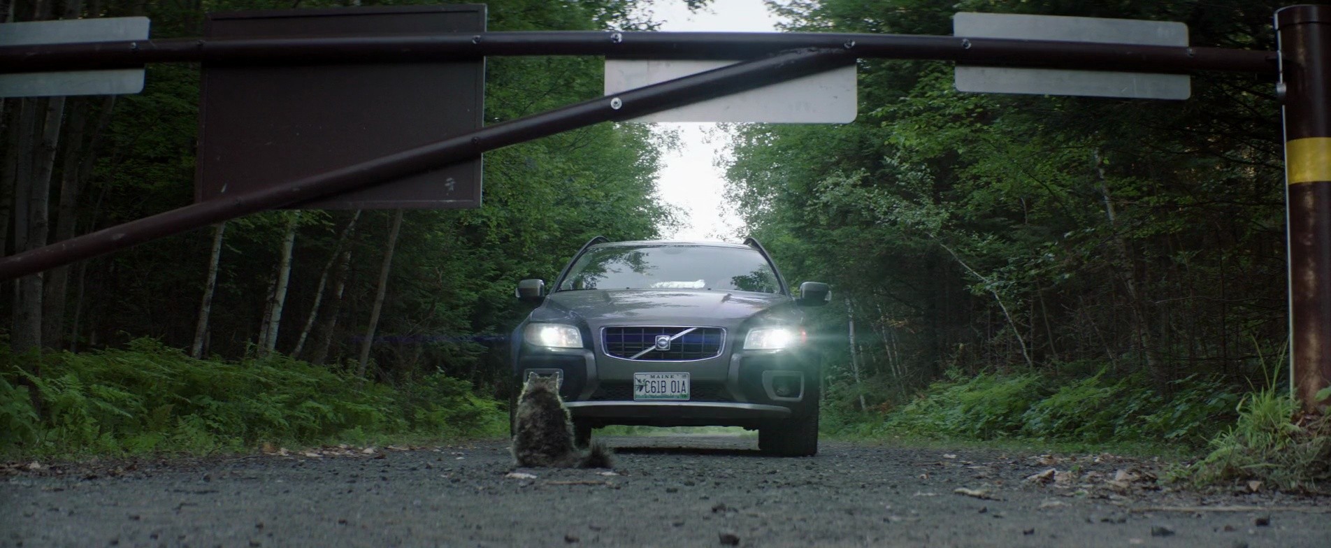 Shot 630