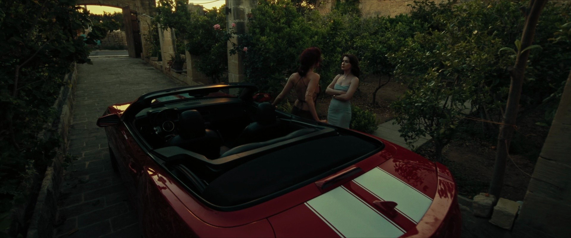 Shot 538