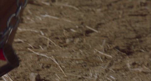 Shot 561