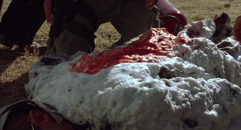 Shot 676