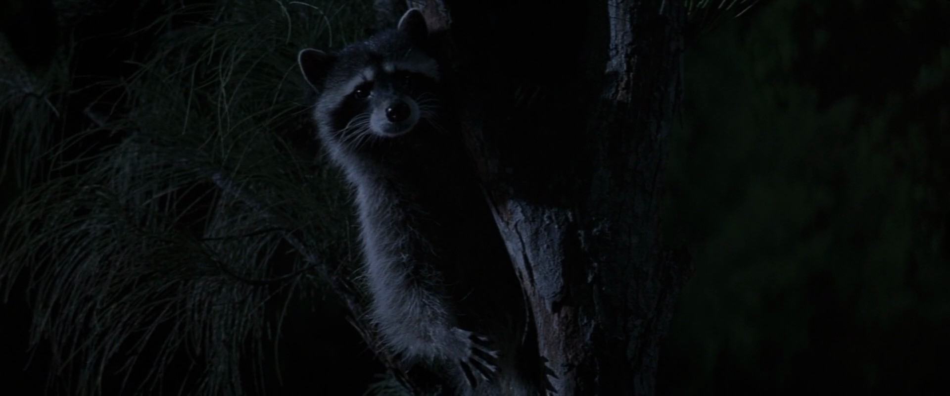 Shot 321