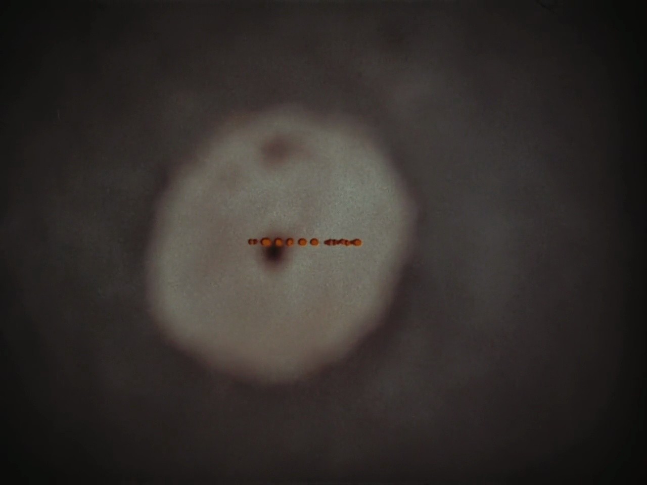 Shot 8
