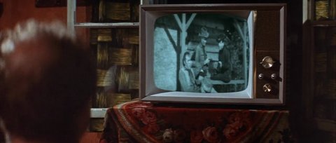 Shot 464