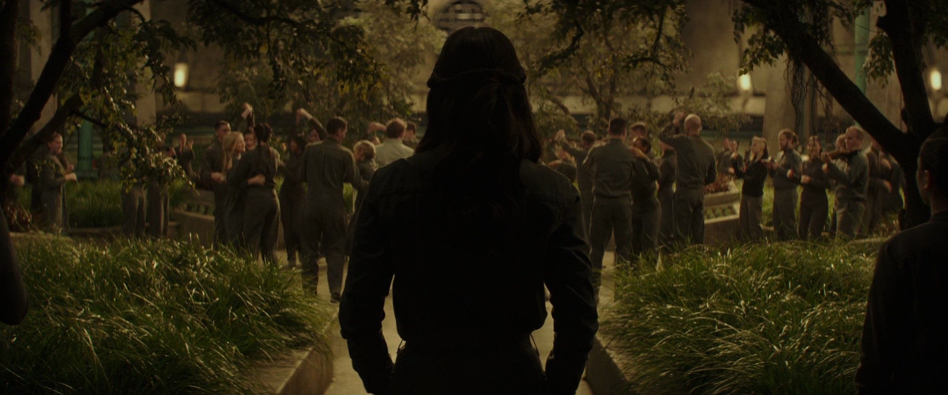 Shot 244