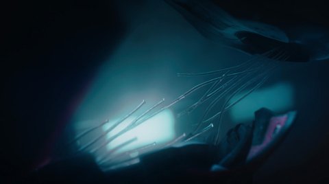 Shot 19