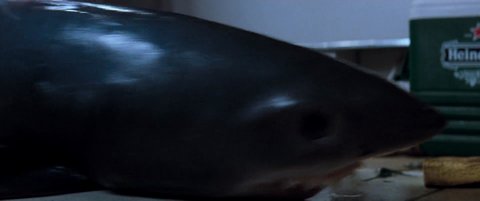 Shot 198