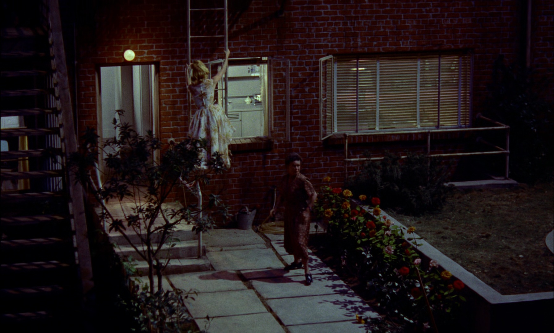 Shot 894