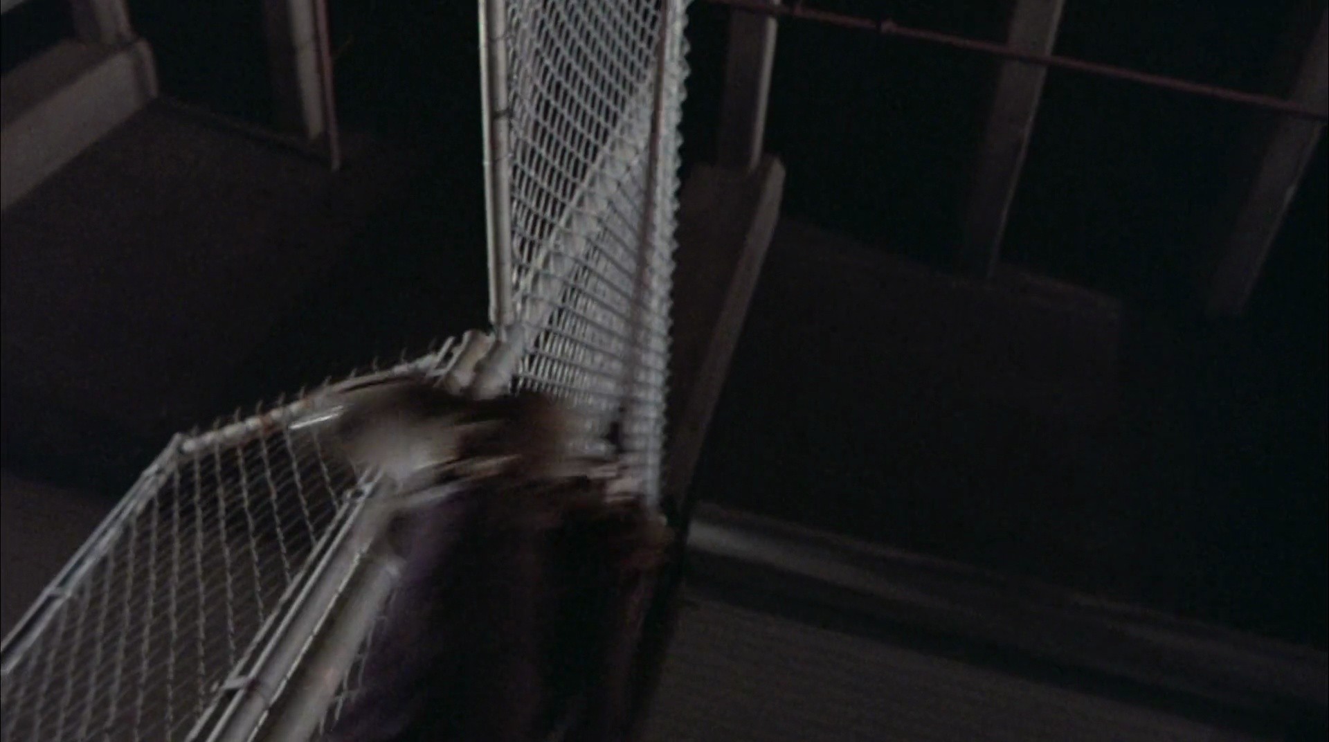 Shot 1083