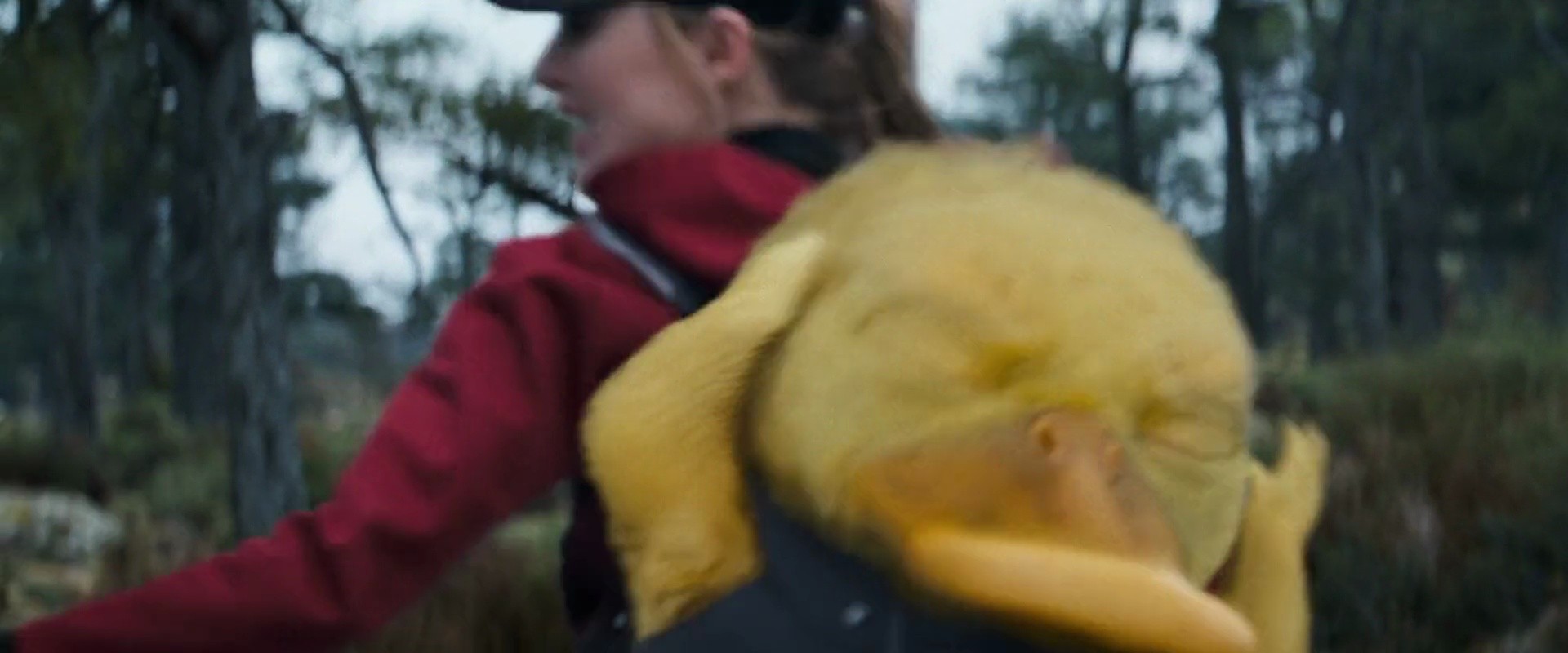 Shot 1293