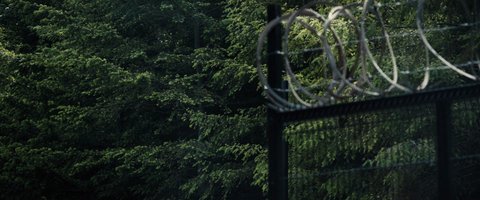 Shot 32